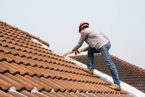 Best Roof Ventilation Installation  in Benson, AZ